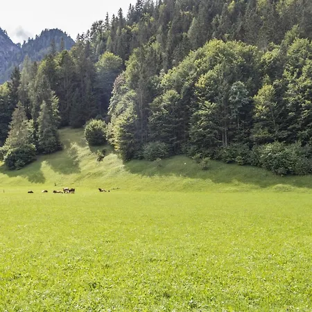 Jaegermeister Daire *