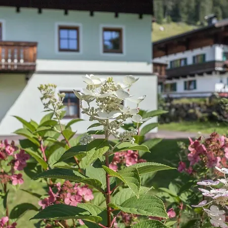 Jaegermeister Daire *