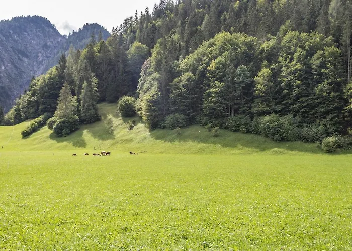 Jaegermeister 公寓 *