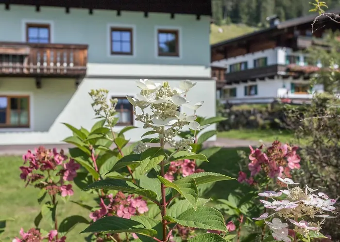 Jaegermeister דירה *